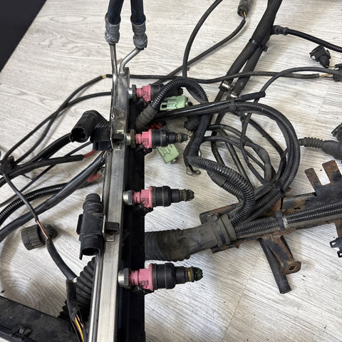 96-00 BMW E36 328 M3 M52 S52 Engine Motor Wiring Cable Harness OEM OBD2