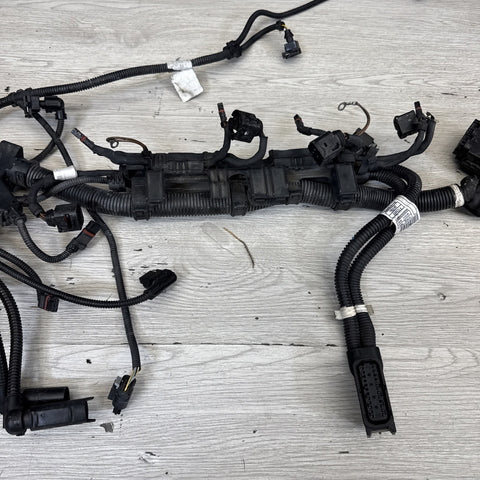 BMW F10 M5 F06 F12 F13 M6 12-19 LEFT WIRE HARNESS 7852146 5-8 CYL OEM 177266