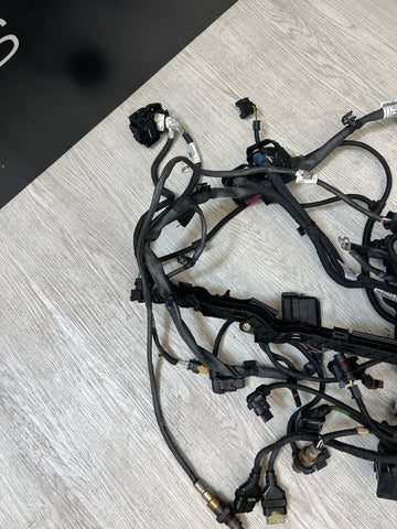 20-25 OEM BMW F95 F96 X5M X6M S63 Engine Motor Wire Wiring Harness