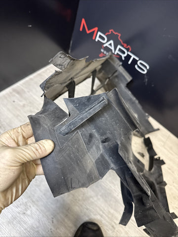 Genuine BMW 3 Series E46 M3 Front Air Duct Radiator Grille 7893351 7893352