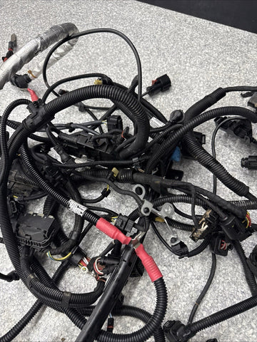 15-20 OEM BMW F87 F80 F82 F83 M2 M3 M4 S55 Engine Motor Wire Wiring Harness
