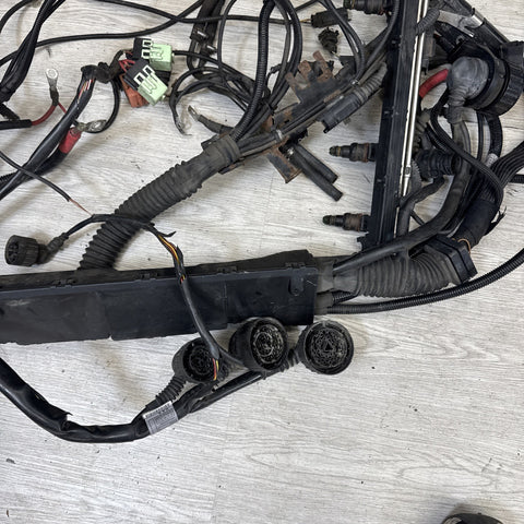 96-00 BMW E36 328 M3 M52 S52 Engine Motor Wiring Cable Harness OEM OBD2
