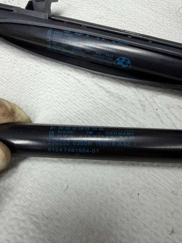 15-20 BMW F83 M4 Convertible Pair of Rear Trunk Lid Spring Struts F33HKL OEM