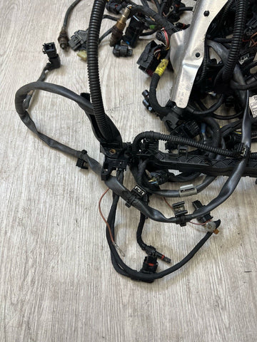 20-25 OEM BMW F95 F96 X5M X6M S63 Engine Motor Wire Wiring Harness