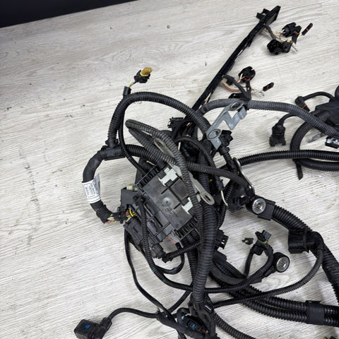 BMW 15-20 F80 F82 F83 M3 M4 S55 ENGINE WIRE WIRING HARNESS OEM