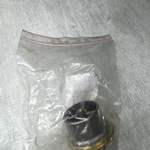 NEW BMW E46 M3 Z4 E85 THERMOSTAT 11531318274 1318274 3.2 01-07 ORIGINAL