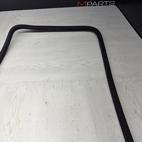 2000-2006 BMW E46 325 328 330 M3 Coupe Sedan Sunroof Seal Sun Roof Trim Black