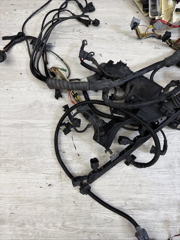COMPLETE Engine / Transmission Harness 2001-2006 BMW E46 M3 S54 SMG
