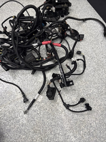 15-20 OEM BMW F87 F80 F82 F83 M2 M3 M4 S55 Engine Motor Wire Wiring Harness