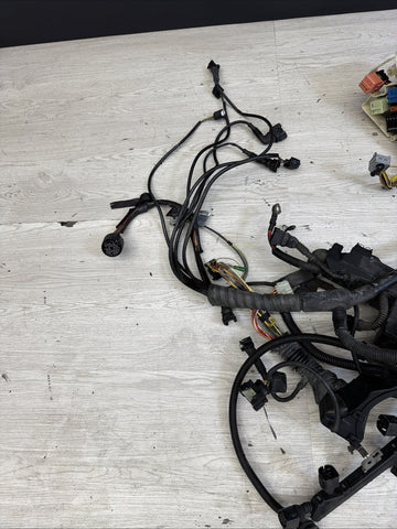 COMPLETE Engine / Transmission Harness 2001-2006 BMW E46 M3 S54 SMG