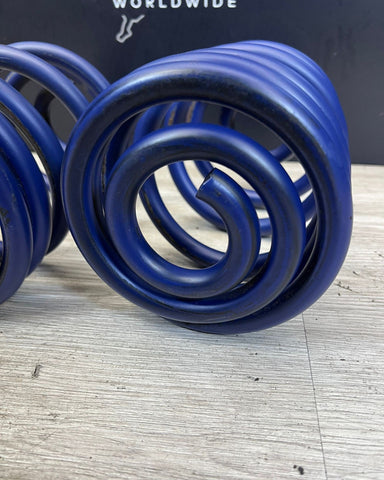 2001-2006 BMW E46 M3 H&R Rear Lowering Springs OEM 29364