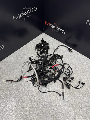 15-20 OEM BMW F87 F80 F82 F83 M2 M3 M4 S55 Engine Motor Wire Wiring Harness