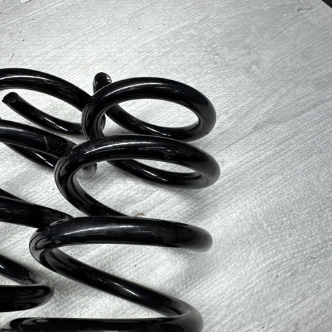 LAMBORGHINI HURACAN RIGHT LEFT REAR SPRINGS OEM 4T0512019AJ