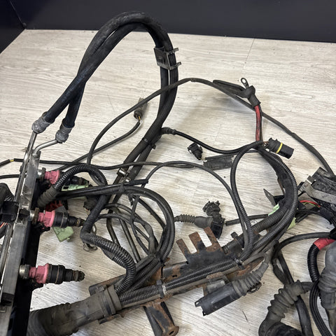 96-00 BMW E36 328 M3 M52 S52 Engine Motor Wiring Cable Harness OEM OBD2