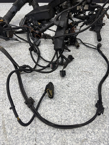 96-99 BMW E36 328 M3 M52 S52 OBD2 ZF 5 SPD Manual Engine Wiring Harness OEM