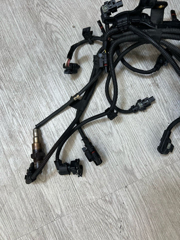 20-25 OEM BMW F95 F96 X5M X6M S63 Engine Motor Wire Wiring Harness