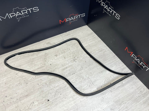 BMW E30 318 325 M3 Coupe Left Driver Door Weather Seal OEM