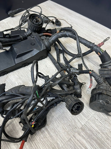 96-00 BMW E36 328 M3 M52 S52 Engine Motor Wiring Cable Harness OEM