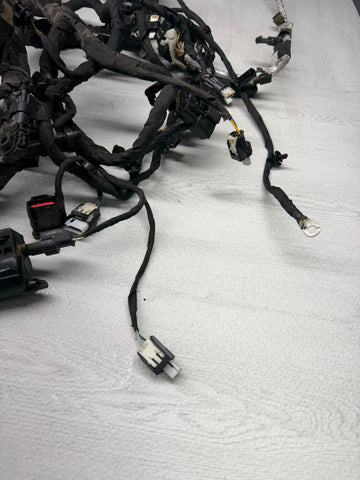 2024 Ford Mustang Main Engine Motor Wire Harness PU5T-12C508-UF