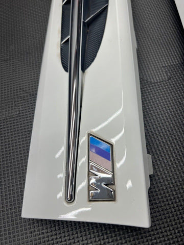 96-02 BMW Z3M Bonnet 51.13 2492960 Covers Trims Grilles Alpine White