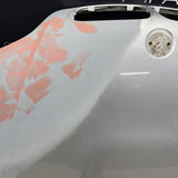 (PICKUP ONLY) BMW E46 M3 01-06 Front Hood Bonnet Panel *Notes*