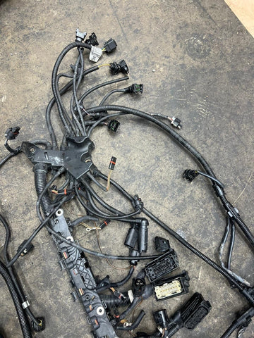 14-17 BMW F06 F10 F12 F13 M5 M6 S63N DCT ENGINE WIRE WIRING HARNESS