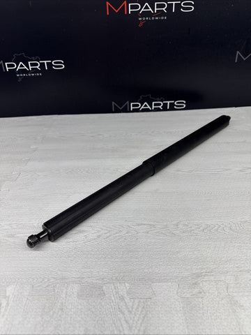 2016-2021 MCLAREN 570S FRONT LEFT DRIVER DOOR LIFT SHOCK STRUT ROD CYLINDER OEM