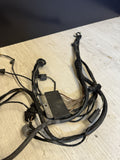 01-06 BMW E46 M3 FRONT RIGHT XENON HEADLIGHT HARNESS WIRES BODY HARNESS PLUGS
