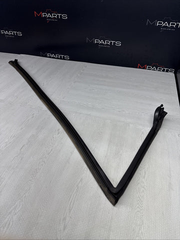 BMW Z3 M Z3M ROADSTER FRONT LEFT DRIVER DOOR SEAL 51718399175 8399175 OEM