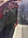 (PICKUP ONLY) BMW E39 M5 525I 528I 540I Front Hood Bonnet Cover Panel OEM