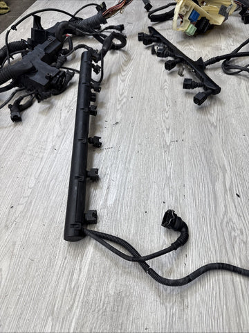 COMPLETE Engine / Transmission Harness 2001-2006 BMW E46 M3 S54 MANUAL