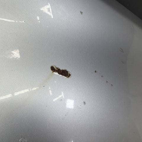 01-06 BMW E46 M3 Driver Left Fender Titan Silver *Rust*