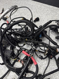 15-20 OEM BMW F87 F80 F82 F83 M2 M3 M4 S55 Engine Motor Wire Wiring Harness
