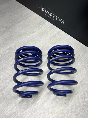 H&R Rear Lowering Springs 01-06 BMW E46 M3 29364