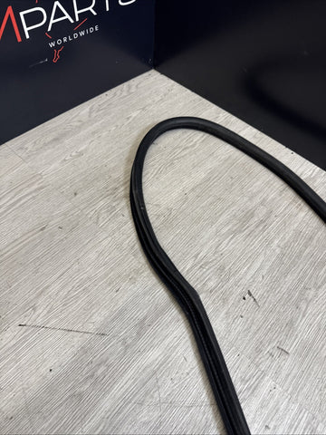 92-99 BMW E36 M3 323 325 328 Driver Front Door Weather Strip Seal Coupe Black