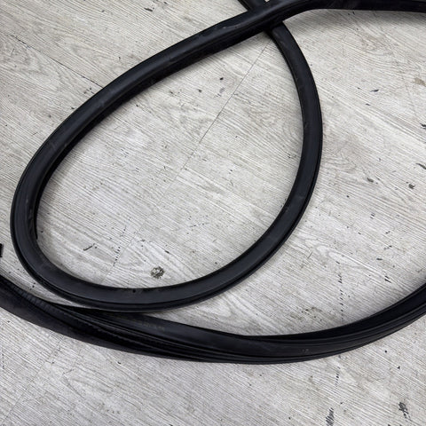BMW E46 M3 01-06 Right Passenger Side Door Weather Strip Seal Black OEM *Rip*