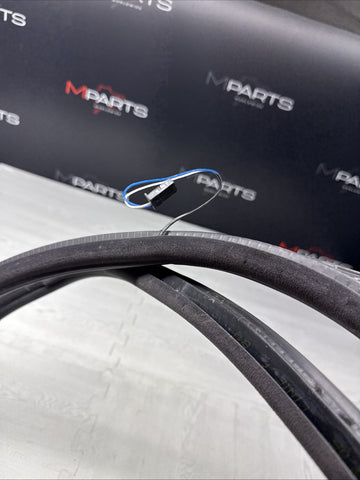 BMW E46 M3 01-06 Left Driver Side Door Weather Strip Seal Black OEM