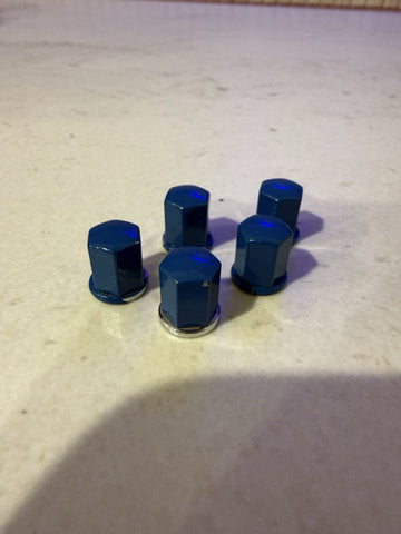 01-13 BMW E46 M3 S54 Engine Beauty Cover OEM Nuts Painted Laguna Seca Blue (5)