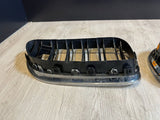 13-16 BMW F06 M6 Sedan Genuine OEM Front Kidney Grilles Set