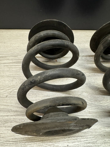 01-06 BMW E46 M3 Convertible Rear Axle Coils Springs Pair White Markings