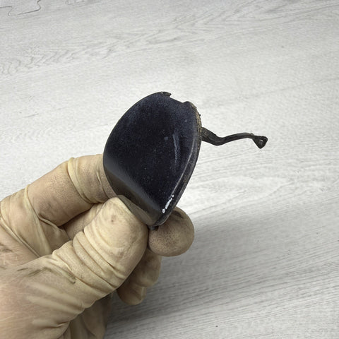01-06 BMW E46 M3 Rear Tow Hook Eye Cover 2695273 Carbon Black
