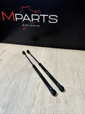 Lamborghini Huracan Hood Shocks Struts 4T0823359