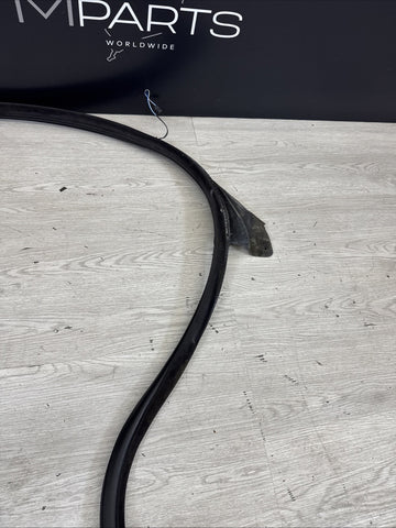 BMW E46 M3 01-06 Left Driver Side Door Weather Strip Seal OEM *Notes*
