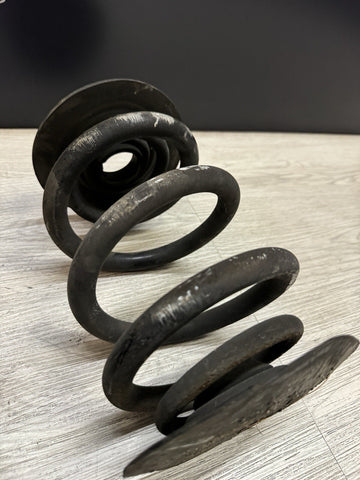 01-06 BMW E46 M3 Convertible Rear Axle Coils Springs Pair White Markings