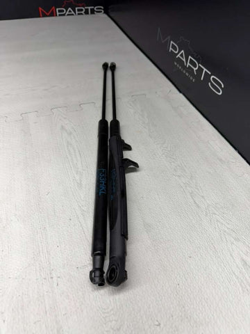 15-20 BMW F83 M4 Convertible Pair of Rear Trunk Lid Spring Struts F33HKL OEM