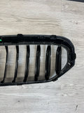 NEW Carbon Fiber Kidney Grille BMW 5 Series G30 G31 F90 M5 LCI 2021-2023