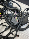 BMW 15-20 F80 F82 F83 M3 M4 S55 ENGINE WIRE WIRING HARNESS OEM
