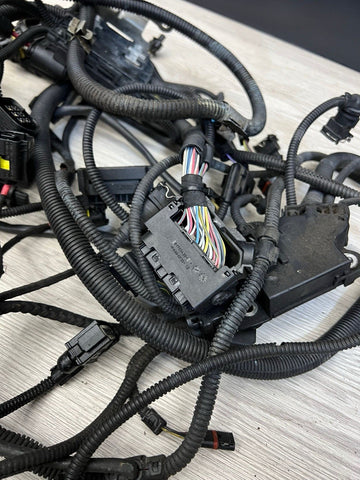 BMW 15-20 F80 F82 F83 M3 M4 S55 ENGINE WIRE WIRING HARNESS OEM