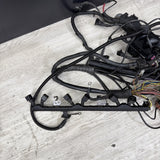 COMPLETE Engine / Transmission Harness 2001-2006 BMW E46 M3 S54 SMG