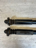 2001-2006 BMW E46 M3 Rear Shocks Struts OEM